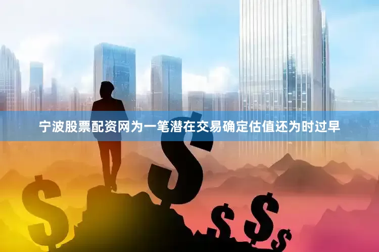 宁波股票配资网为一笔潜在交易确定估值还为时过早